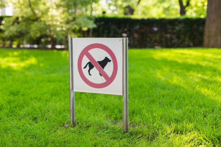 Dog Laws in Maryland