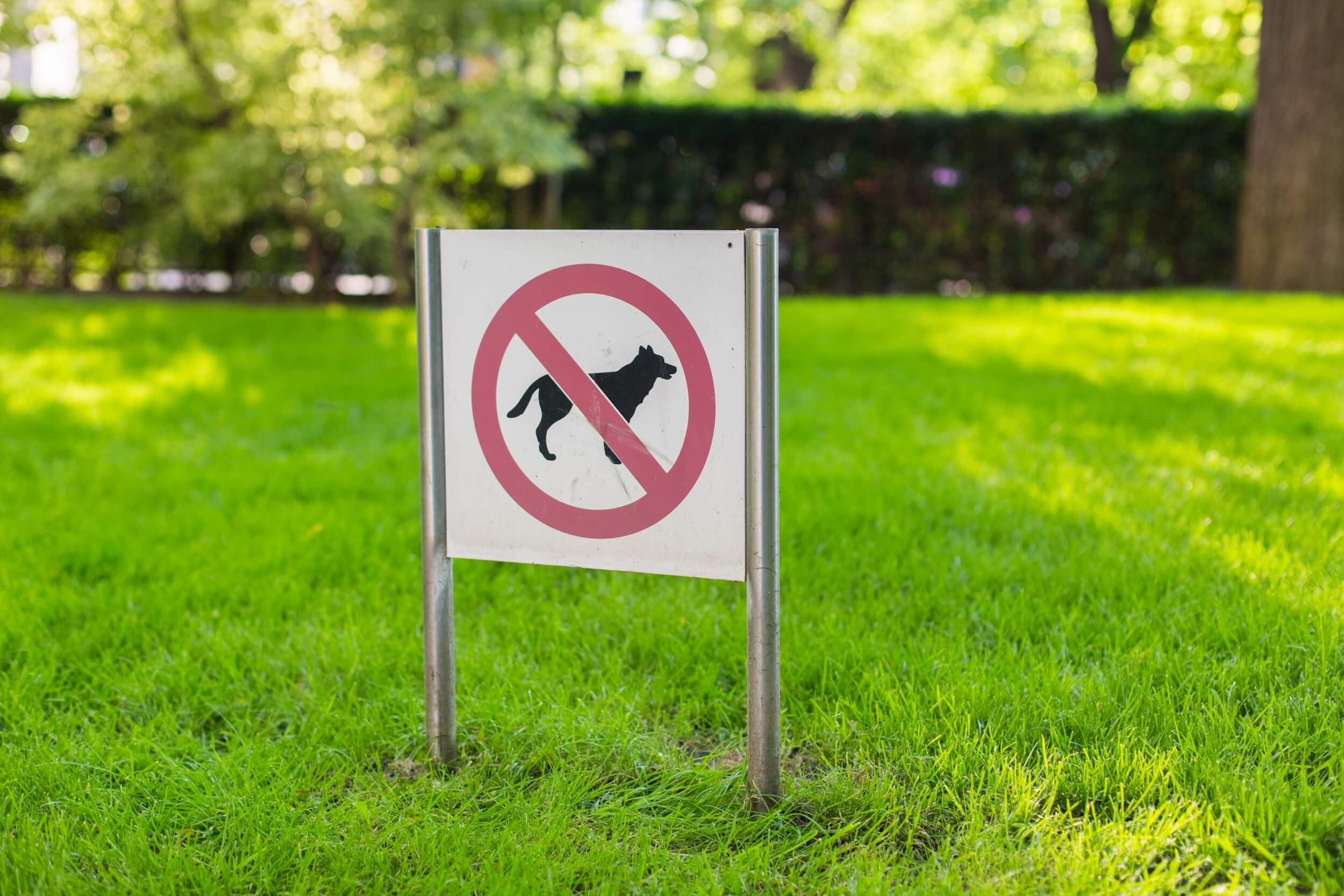 No dog walking allowed sign